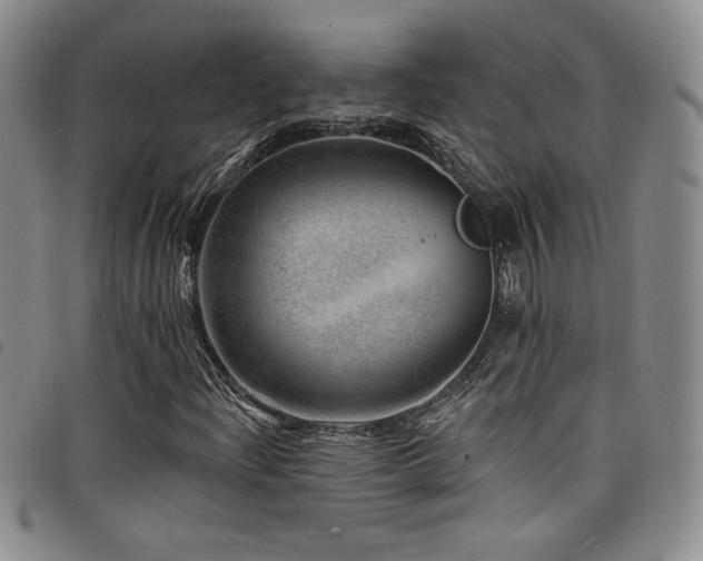 X0000098201204200804241245