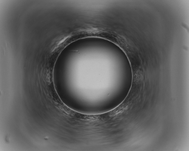 X0000098201205200804241245