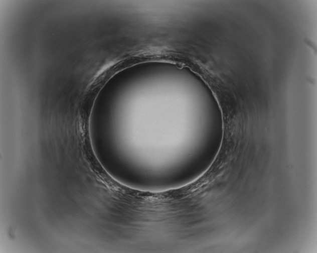 X0000098201206200804241245