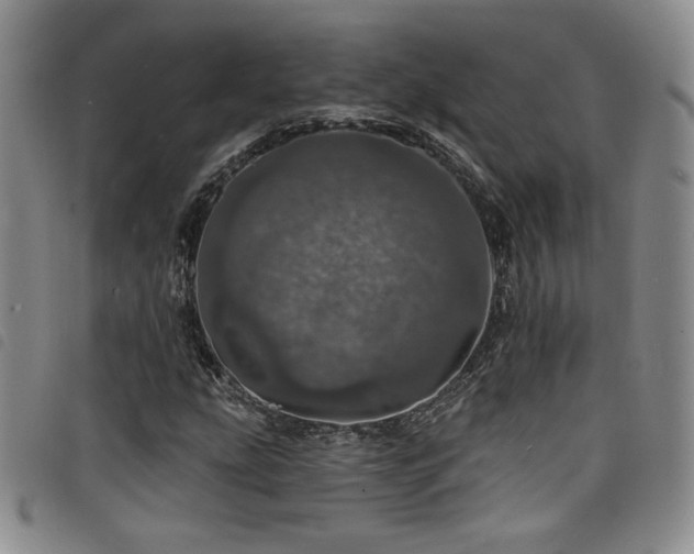 X0000098201207200804241245