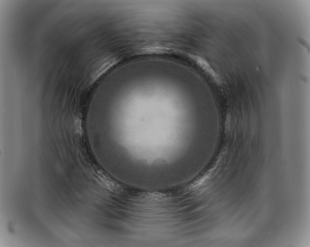 X0000098201209200804241245
