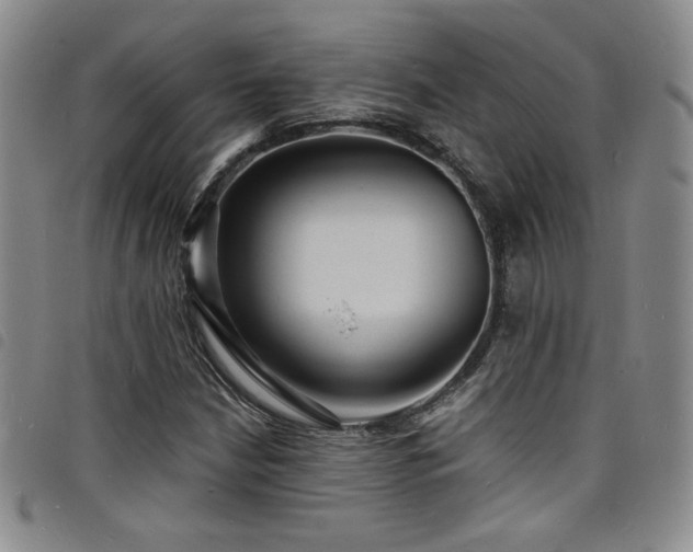 X0000098201210200804241245