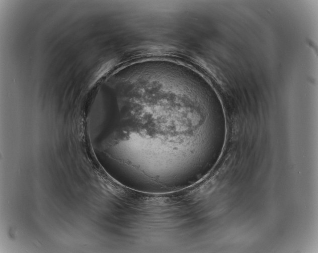 X0000098201211200804241245