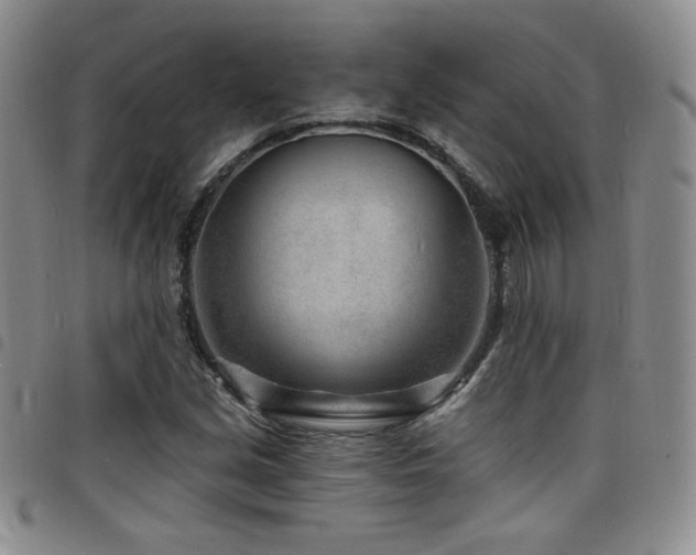 X0000098201213200804241245
