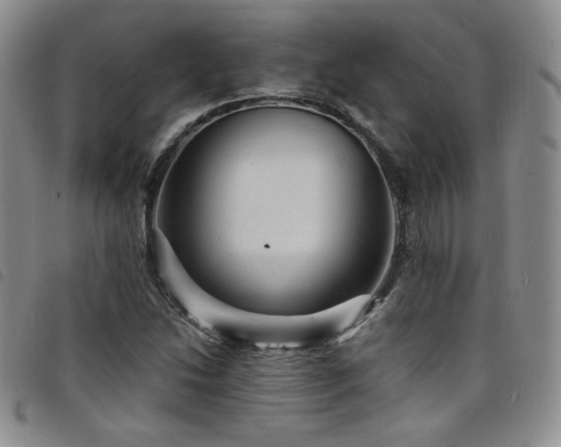 X0000098201214200804241245