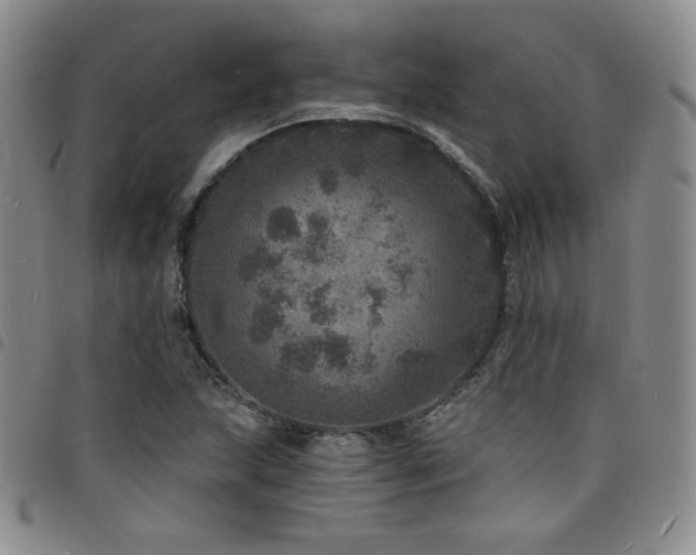 X0000098201215200804241245