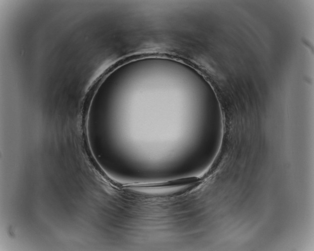 X0000098201216200804241245