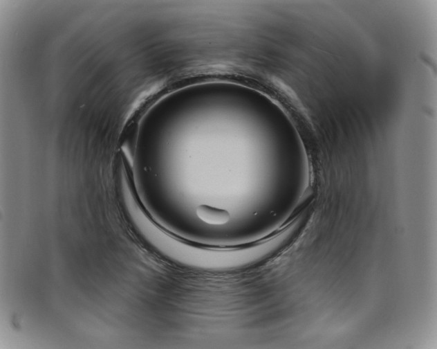 X0000098201218200804241245