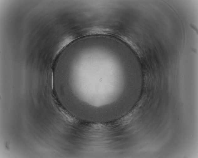 X0000098201219200804241245