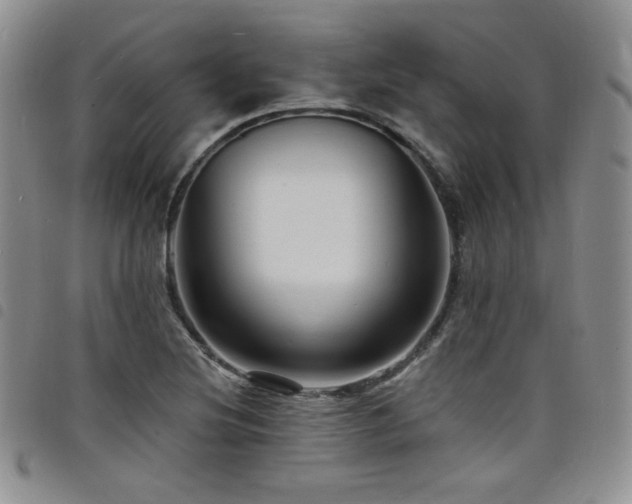 X0000098201220200804241245