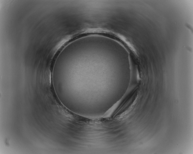 X0000098201221200804241245