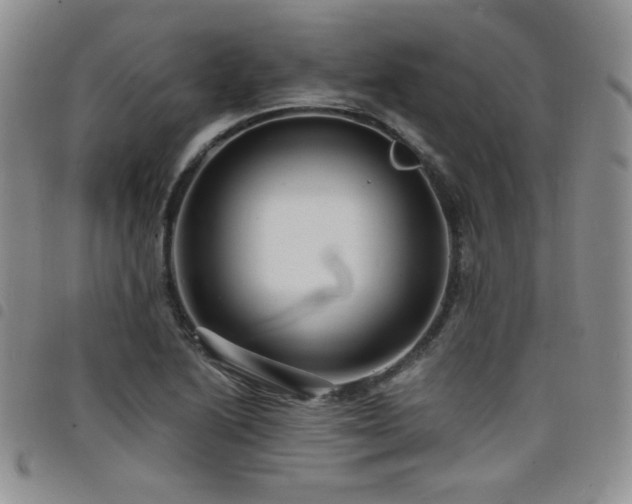 X0000098201222200804241245