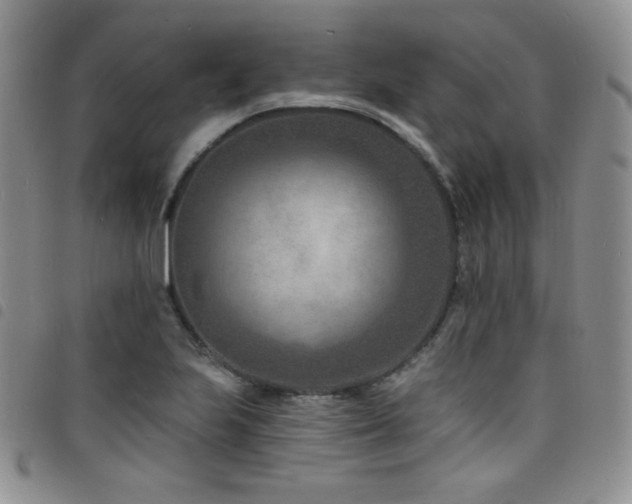 X0000098201223200804241245