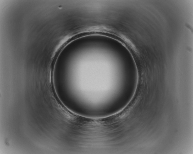 X0000098201224200804241245