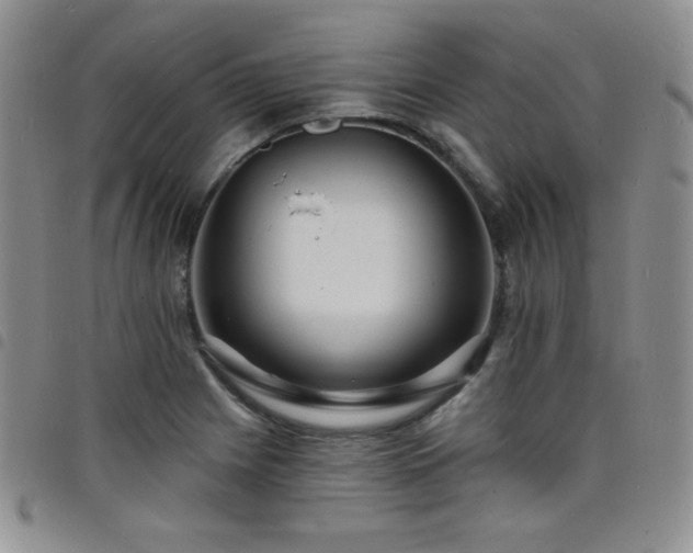 X0000098201225200804241245