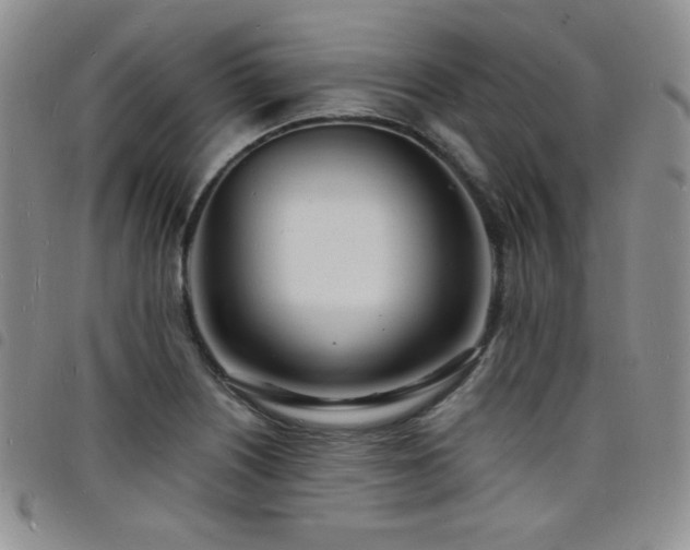 X0000098201226200804241245