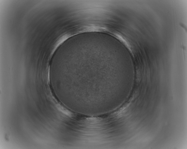 X0000098201227200804241245