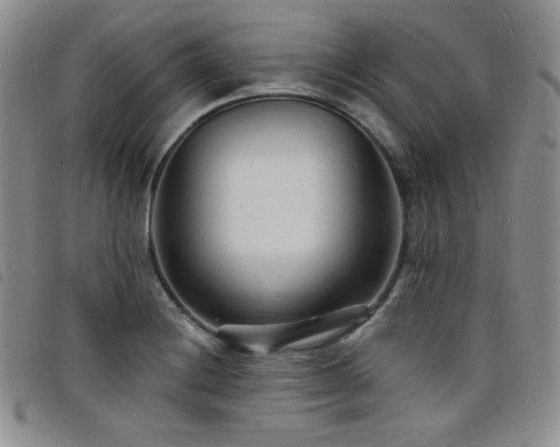 X0000098201228200804241245