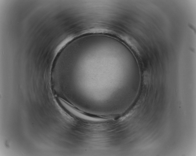 X0000098201229200804241245