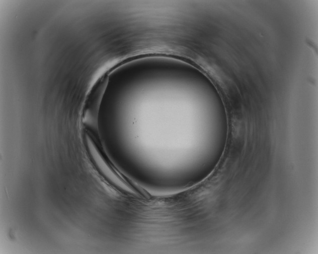 X0000098201230200804241245