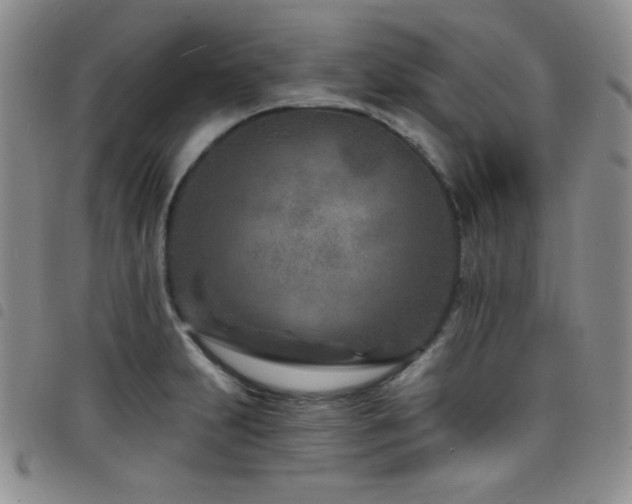X0000098201231200804241245