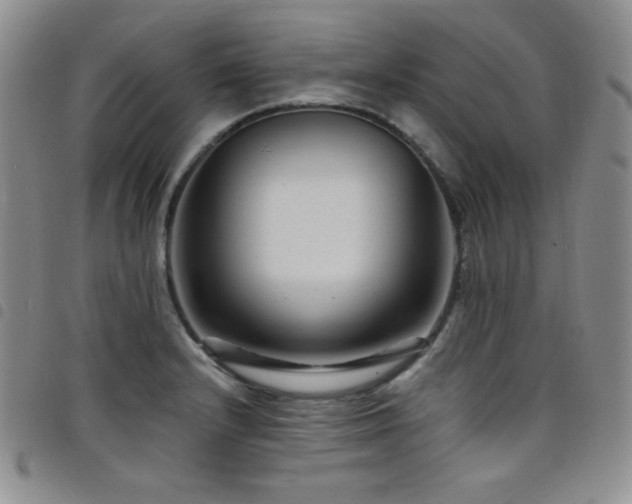 X0000098201232200804241245