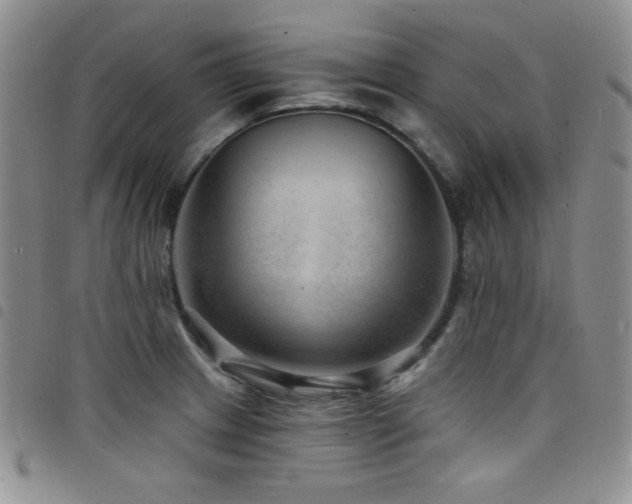 X0000098201233200804241245