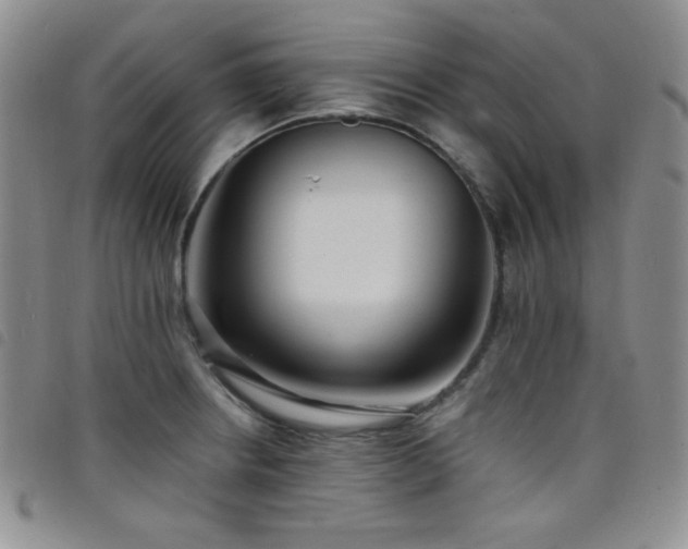 X0000098201234200804241245