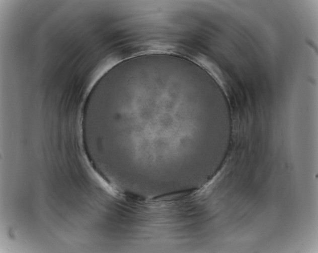 X0000098201235200804241245