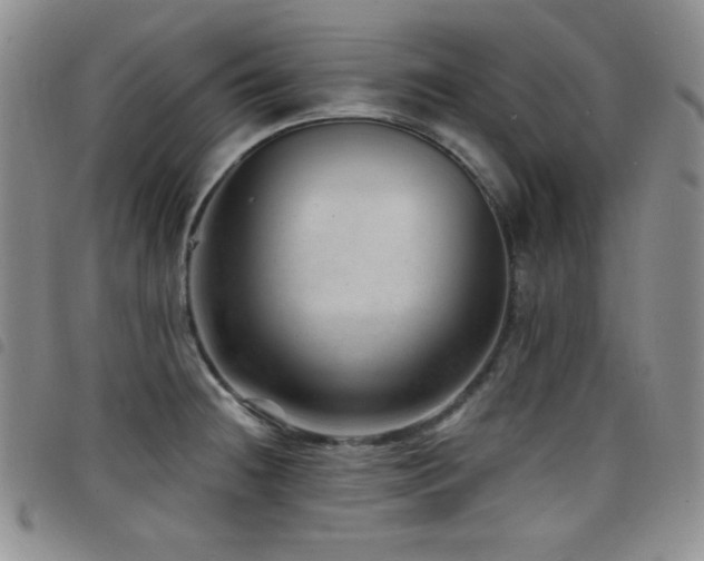 X0000098201236200804241245