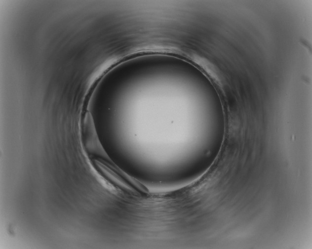 X0000098201237200804241245