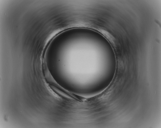 X0000098201238200804241245