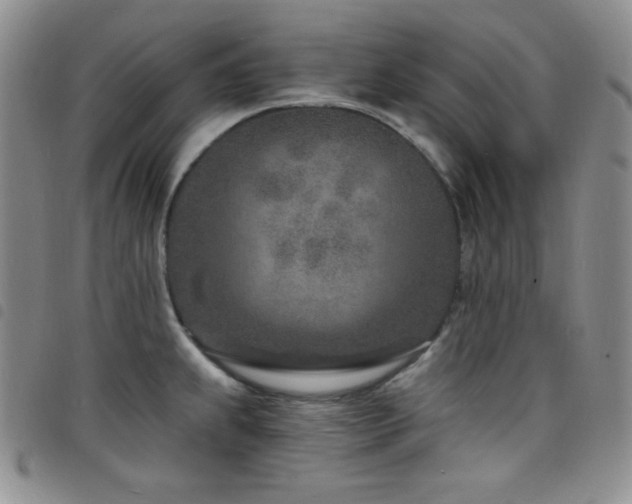 X0000098201239200804241245