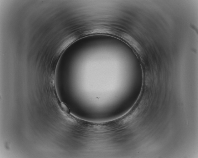 X0000098201241200804241245