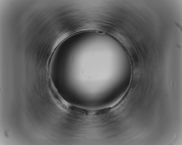 X0000098201242200804241245