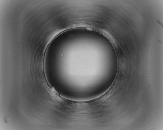 X0000098201244200804241245