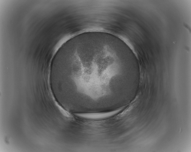 X0000098201245200804241245