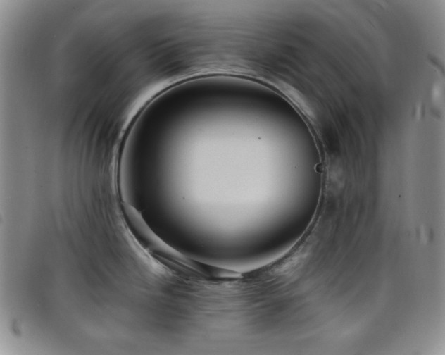 X0000098201246200804241245