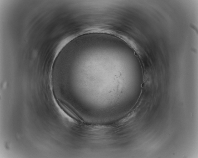 X0000098201247200804241245