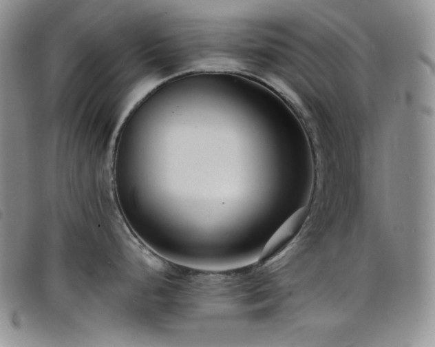 X0000098201248200804241245