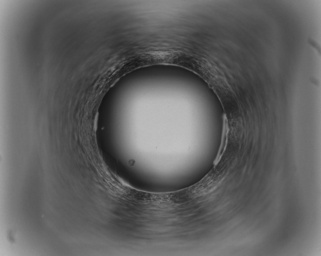 X0000098201249200804241244