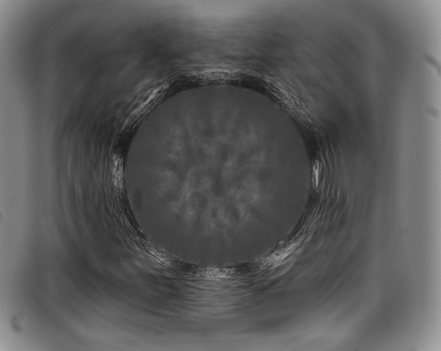 X0000098201251200804241244