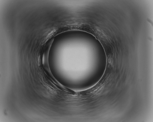 X0000098201252200804241244