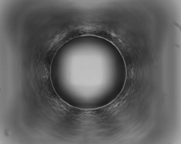X0000098201253200804241244