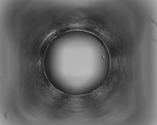 X0000098201254200804241244
