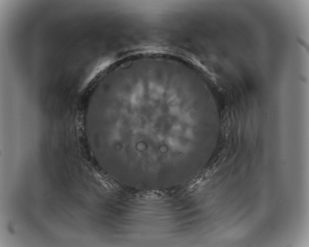 X0000098201255200804241244