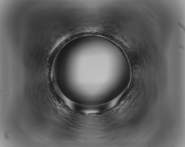 X0000098201256200804241244