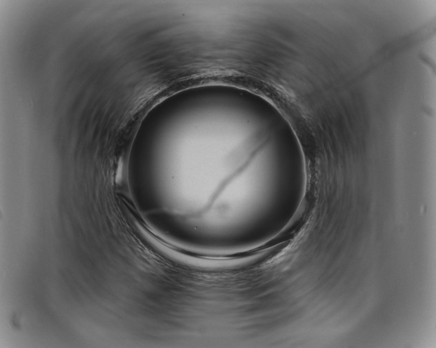 X0000098201257200804241244