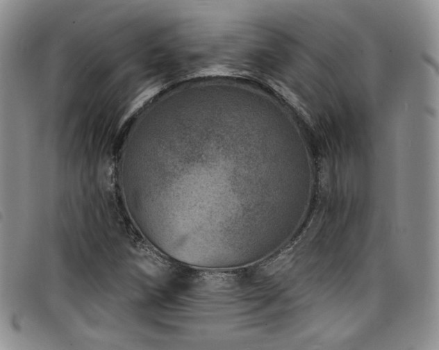 X0000098201258200804241244