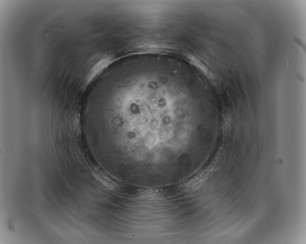 X0000098201259200804241244